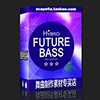 舞曲制作采样/HighlifeSamples厂牌Big Sounds Hybrid Future Bass
